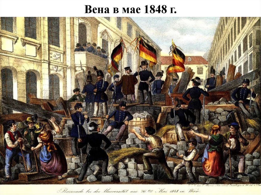 Вена в мае 1848 г.