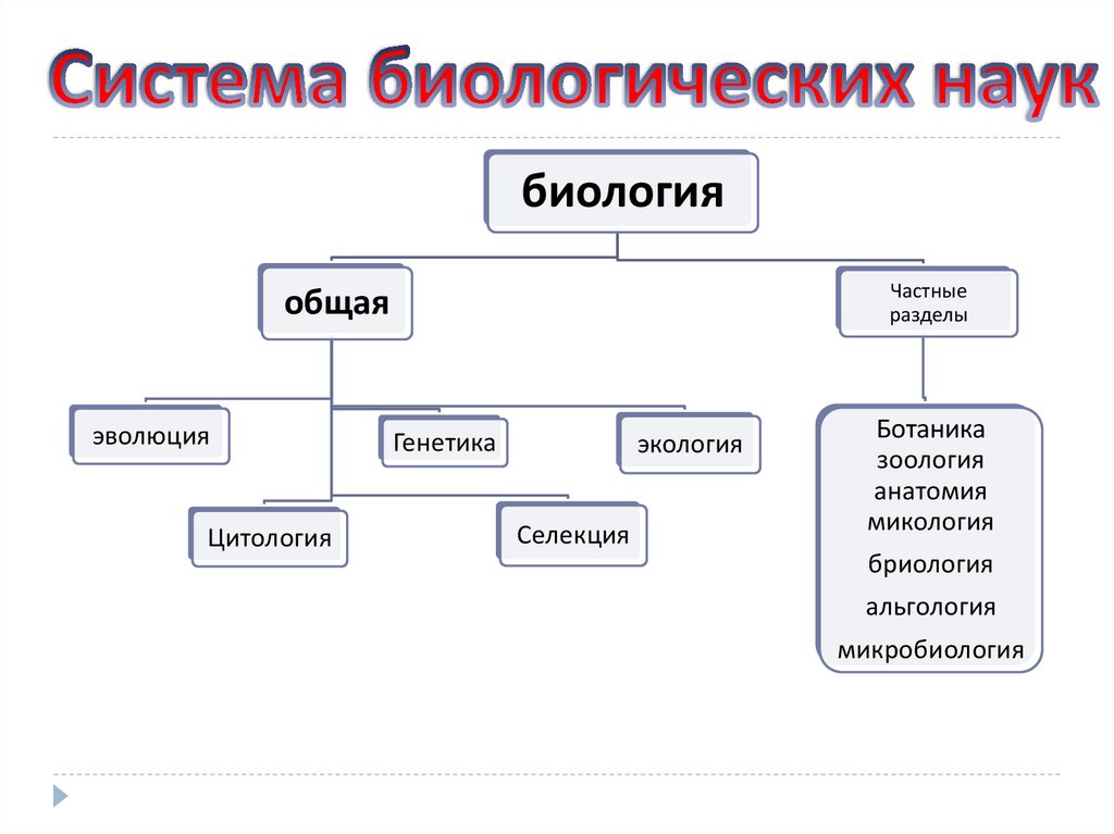 Биология - наука о жизни - презентация онлайн