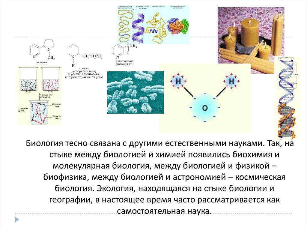 Биология - наука о жизни - презентация онлайн