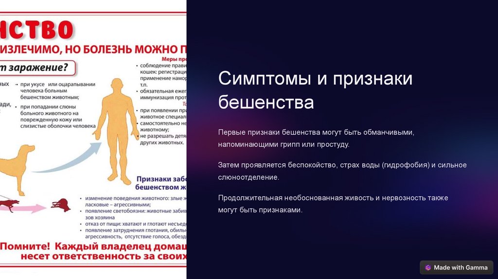 Эпидемиология бешенства - презентация онлайн