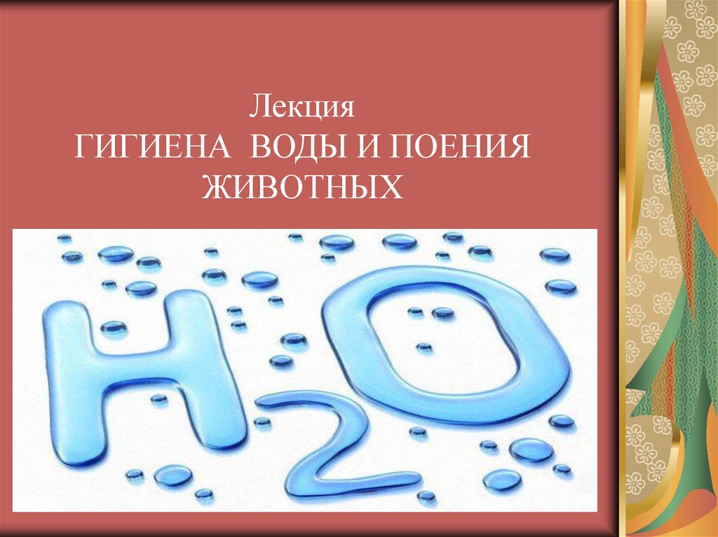 Вы точно человек?