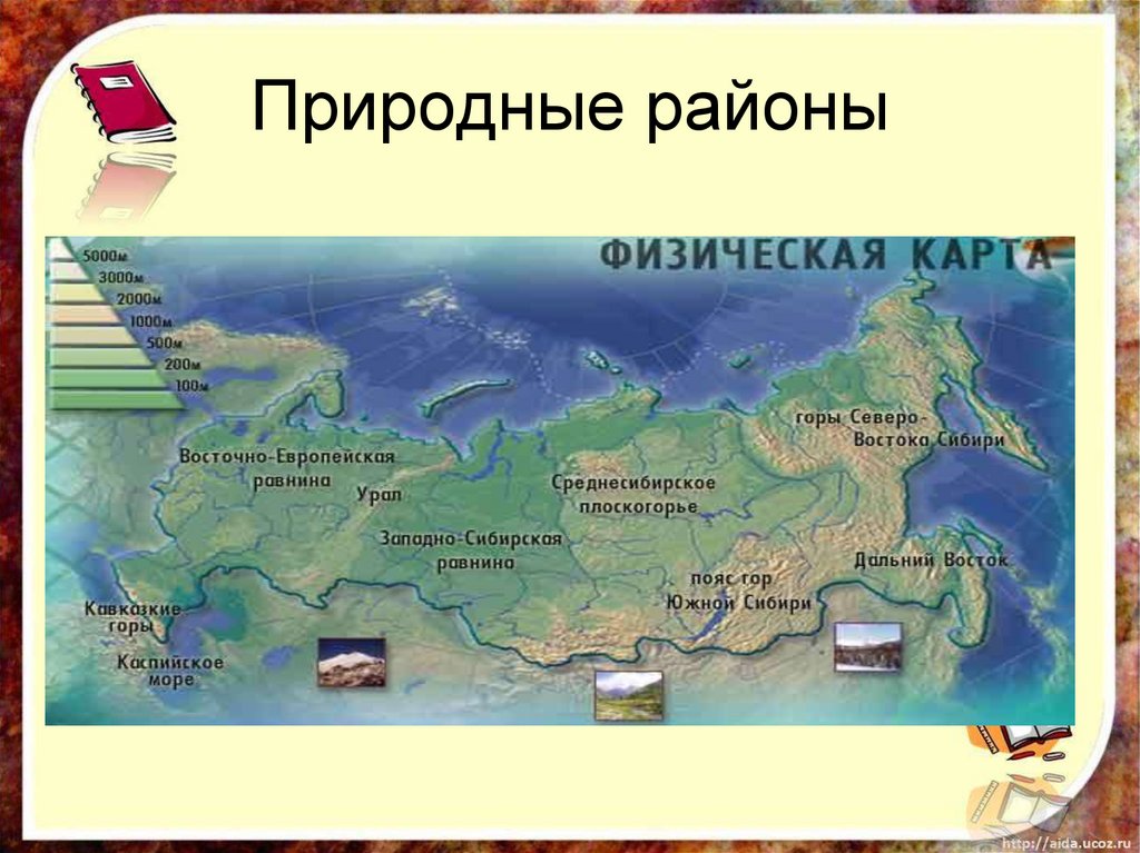 Назовите природные регионы. Природные районы. Природные районы России. Крупные природные районы России. Крупные природные районы России на карте.