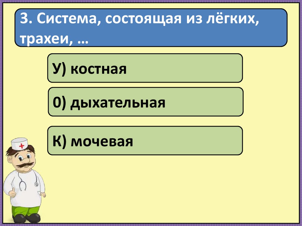 Системы органов - презентация онлайн