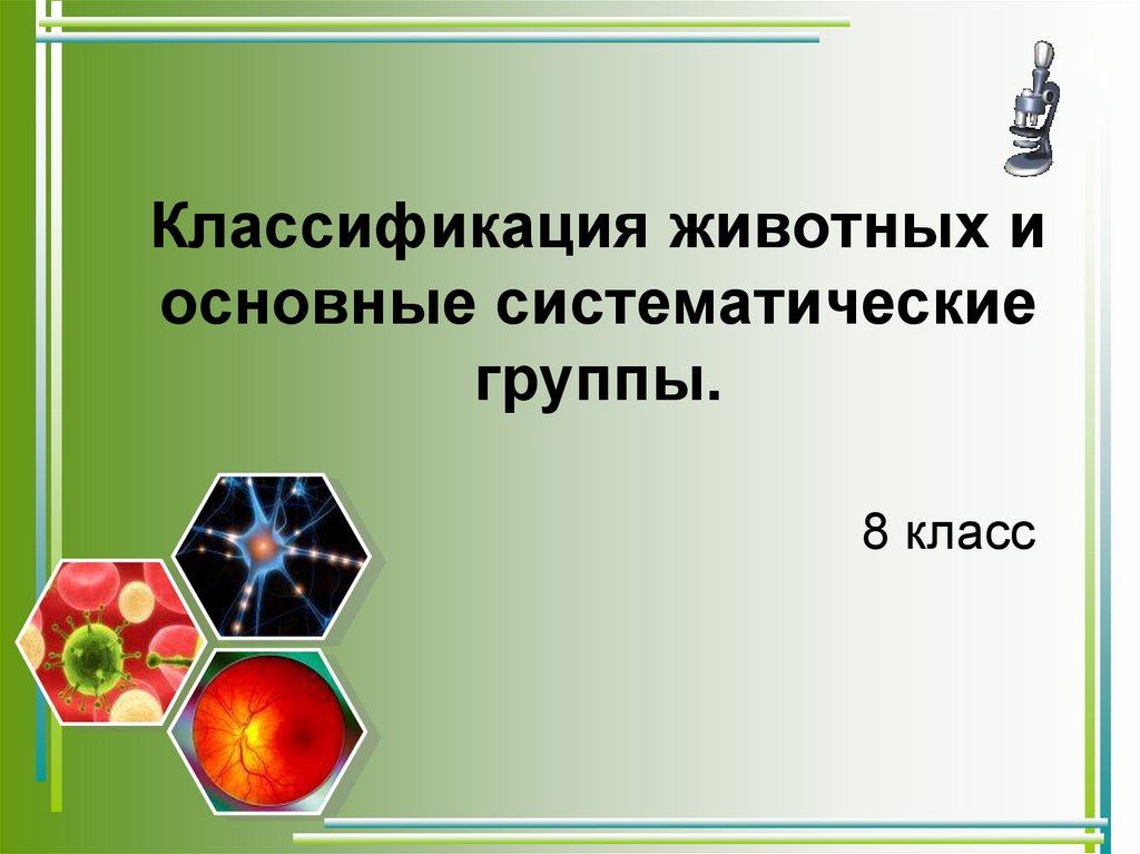 Классификация животных с наименьшей систематической группы