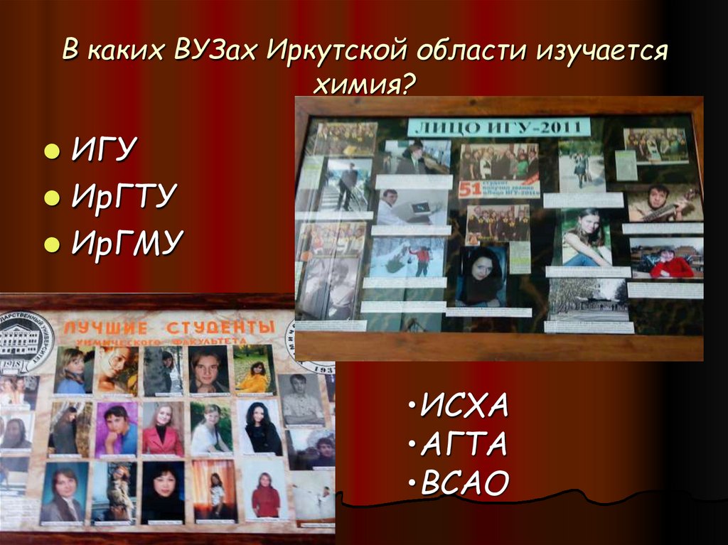 В каких ВУЗах Иркутской области изучается химия?