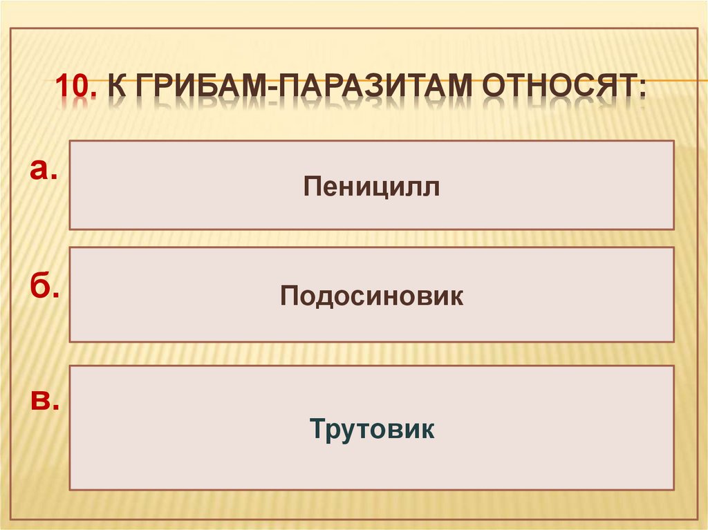 Многообразие живых организмов - online presentation