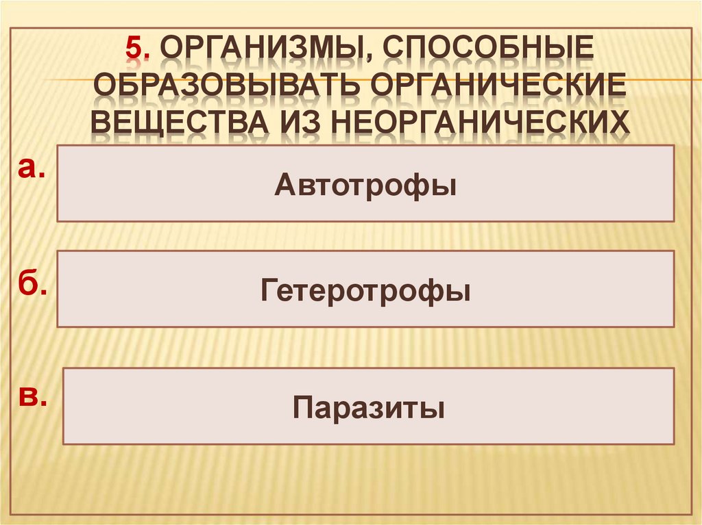 Организмы образующие органические вещества называются. Организмы способные образовывать органические вещества. Организмы из неорганических. Образуют органические вещества из неорганических. Организмы образующие органические вещества из неорганических.