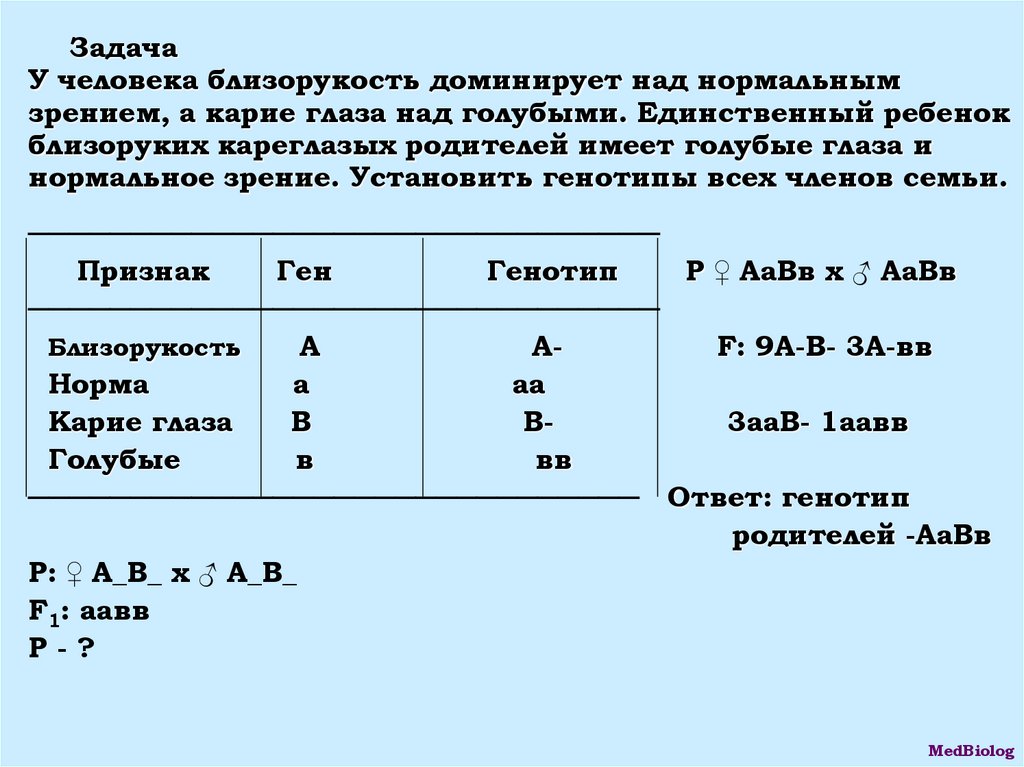 У человека близорукость доминирует над нормальным