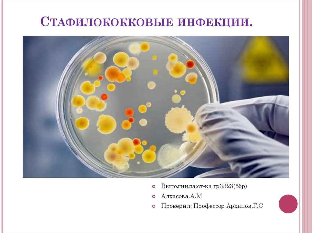 Золотистый стафилококк заболевания вызывает. Стафилококковая инфекция. Стафилококковая кишечная инфекция. Источник инфекции стафилококков. Стафилококковое заражение.