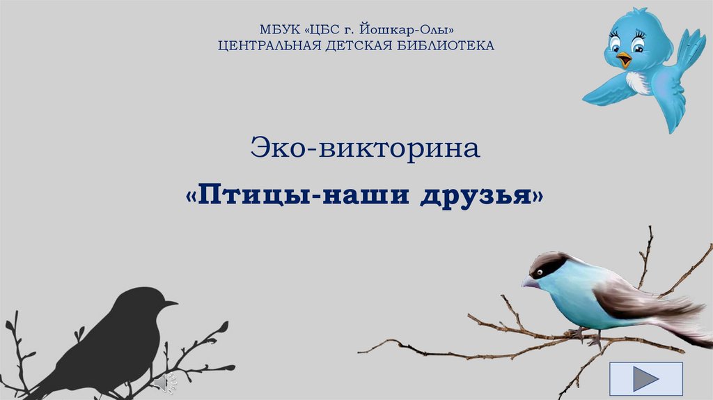 Викторина по птицам для начальной школы с презентацией