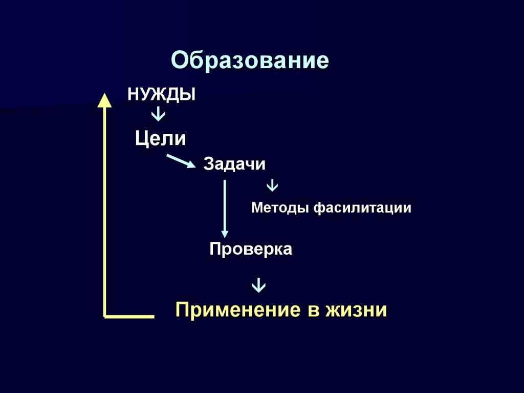 Образование