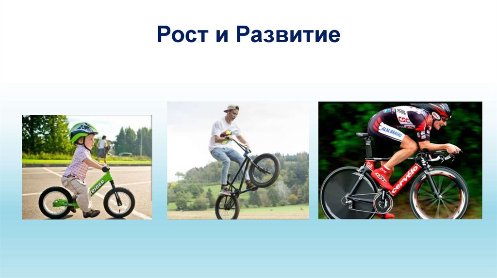 Рост и Развитие
