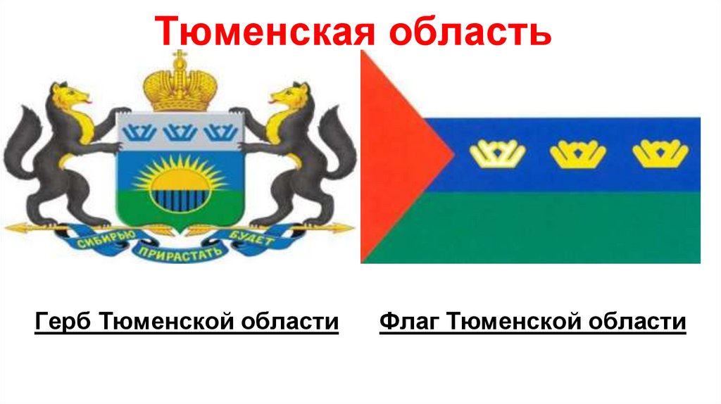 Мегафлаг | Купить герб Тюменской области (гербовое панно, полный герб) в интернет магазине