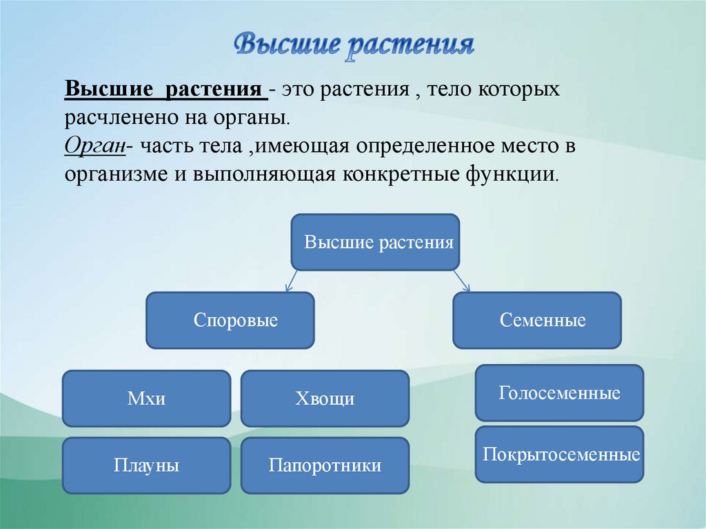 Высшие и низшие растения - презентация онлайн