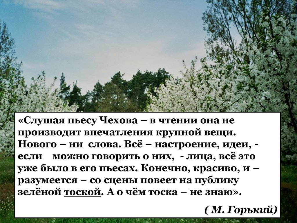 История создания пьесы вишневый сад сообщение. Вишневый сад презентация 11 класс. История создания вишневый сад Чехова. Но я люблю этот камень вишневый сад. Изложение бой в лесу 3 класс.