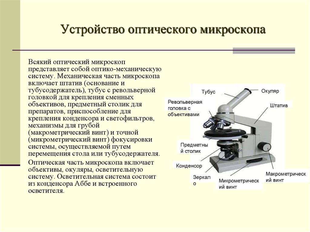 Схема простейшего оптического микроскопа