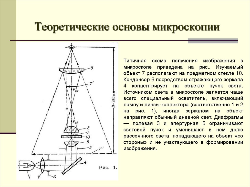 Основы микроскопии