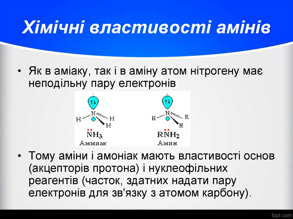 Хімічні властивості амінів