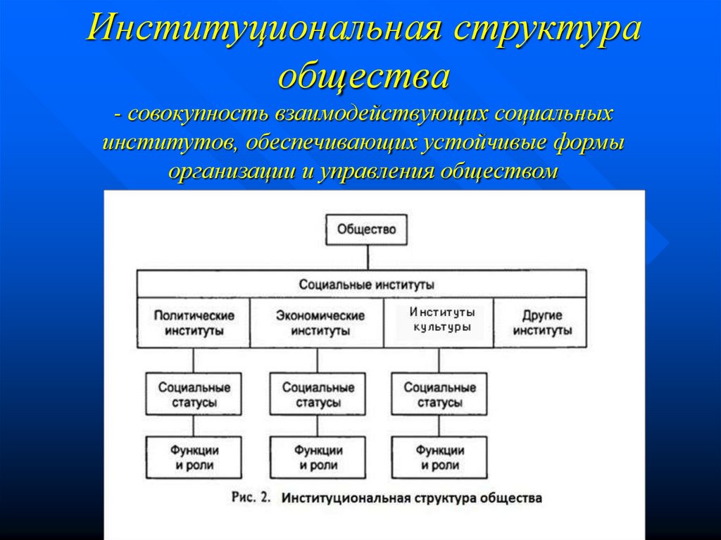 Институциональная структура общества. Структура социальной организации. Структура социального института. Подходы к анализу социальной структуры.