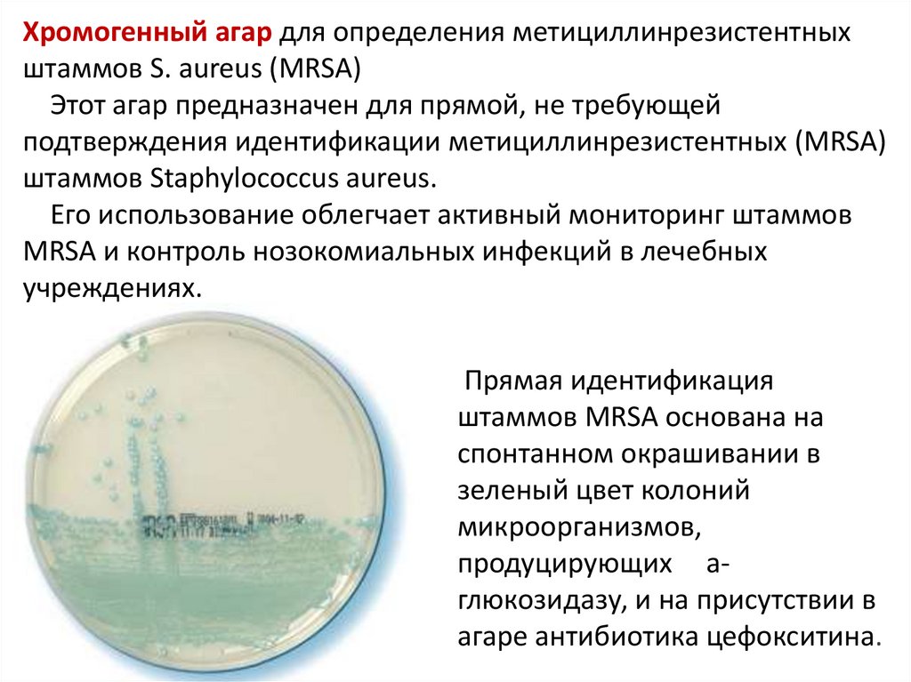 Хромогенный агар для определения метициллинрезистентных штаммов S. aureus (MRSA) Этот агар предназначен для прямой, не