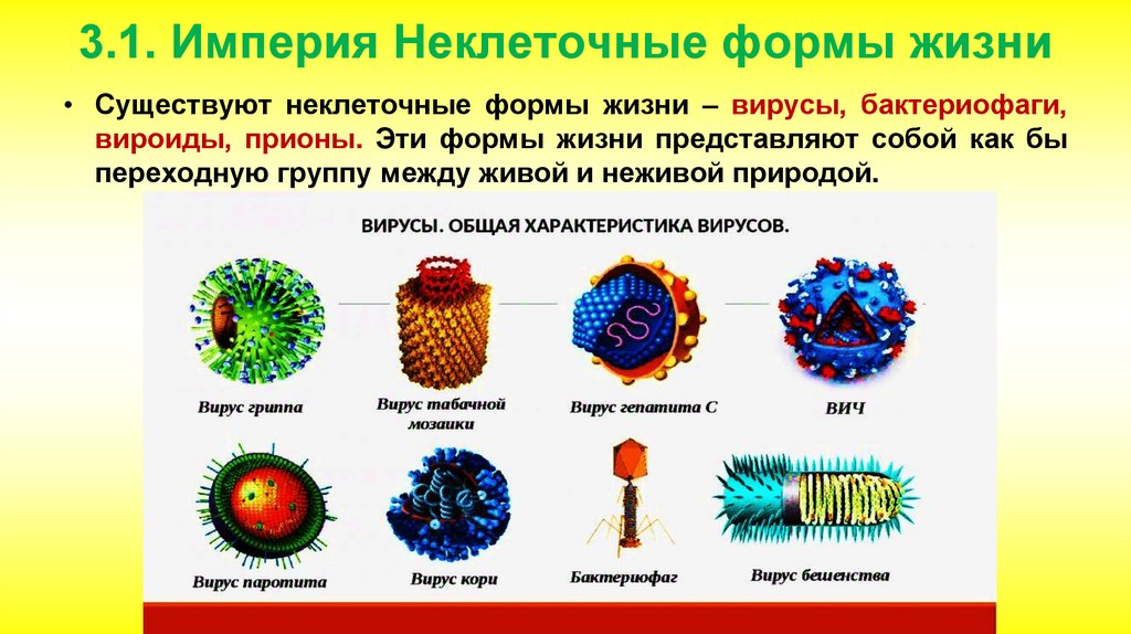 Почему вирусы неклеточные формы