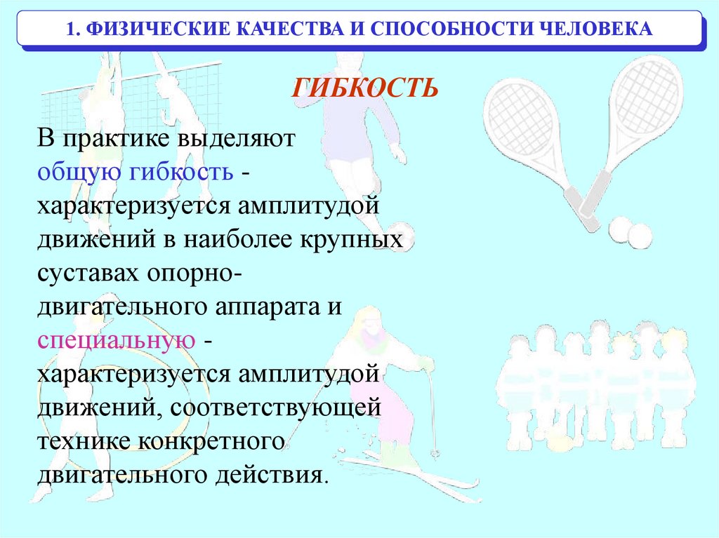 Физические способности школьников. Физические способности схема. Физические способности человека. Физические возможности человека.