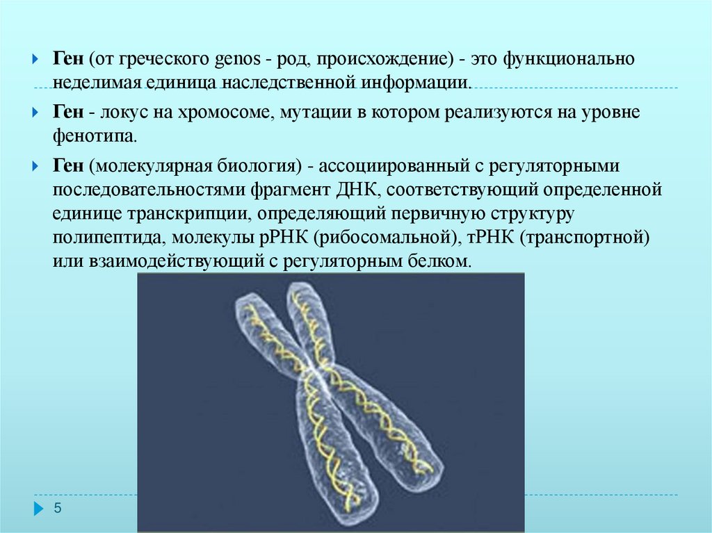 Ген развития. Генные мутации хромосомы. Единица наследственной информации. Локусы хромосом. Мутировавшая хромосома.