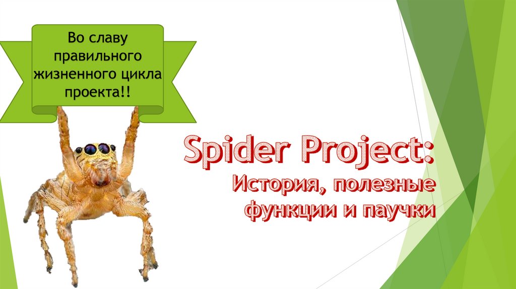 Project история