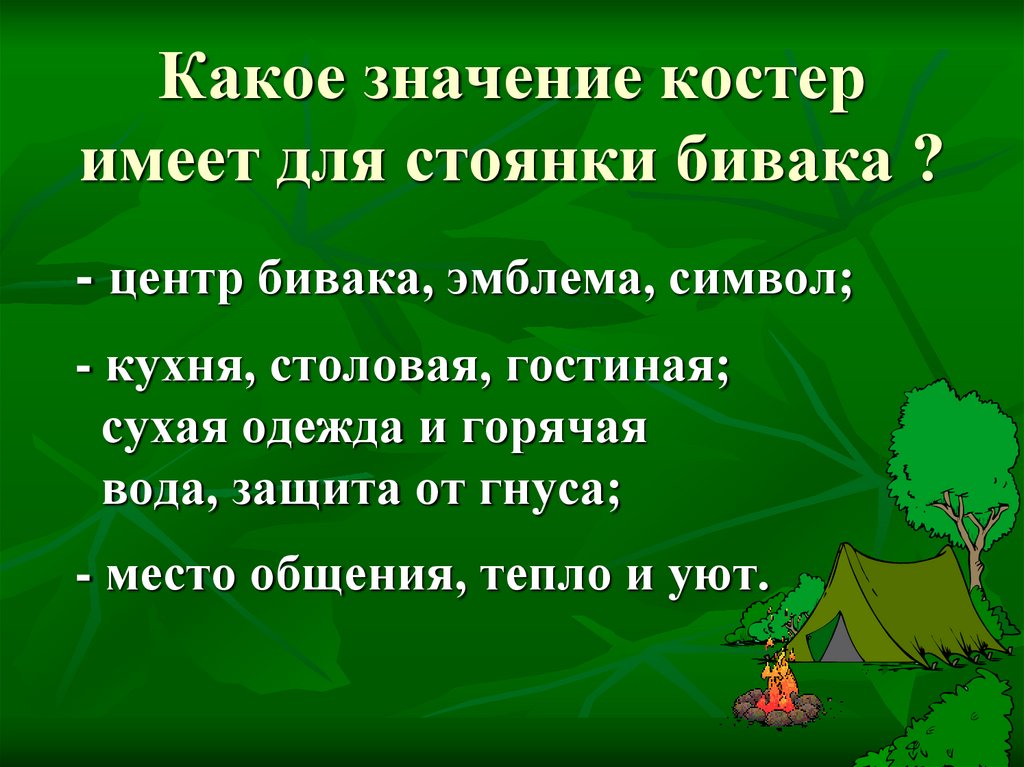 Картина восхитительная ночь тишина вдали огоньки бивачных костров знаки препинания