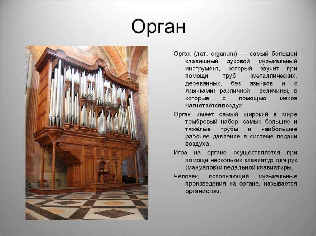Орган история создания. Информация о органе. Орган музыкальный инструмент. Сообщение об органе. Сообщение о инструменте орган.