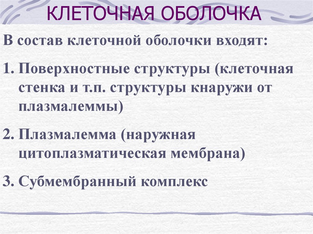 КЛЕТОЧНАЯ ОБОЛОЧКА
