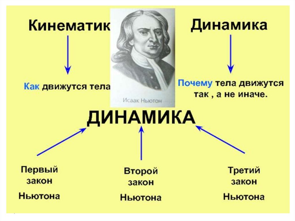 Проект по физике первый курс