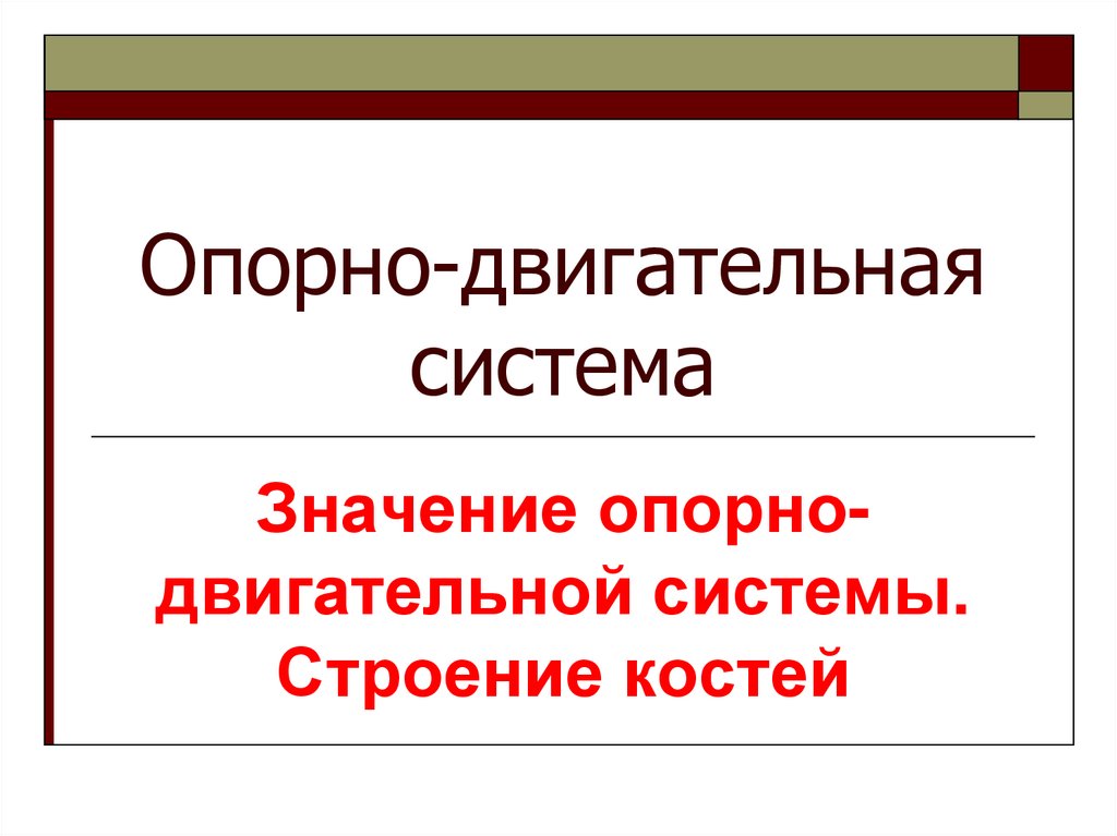 Опорно-двигательная система. Значение опорно-двигательной системы ...