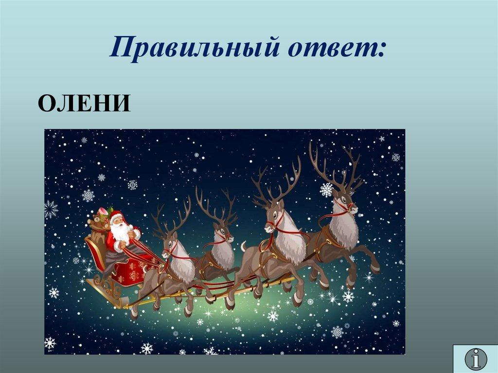 Правильный ответ: