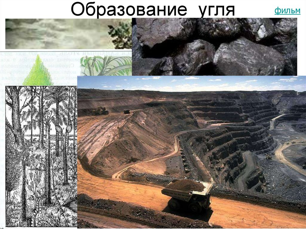 Появление каменного угля. Образование угля. Образование каменного угля. Образование угля в природе. Этапы образования угля.