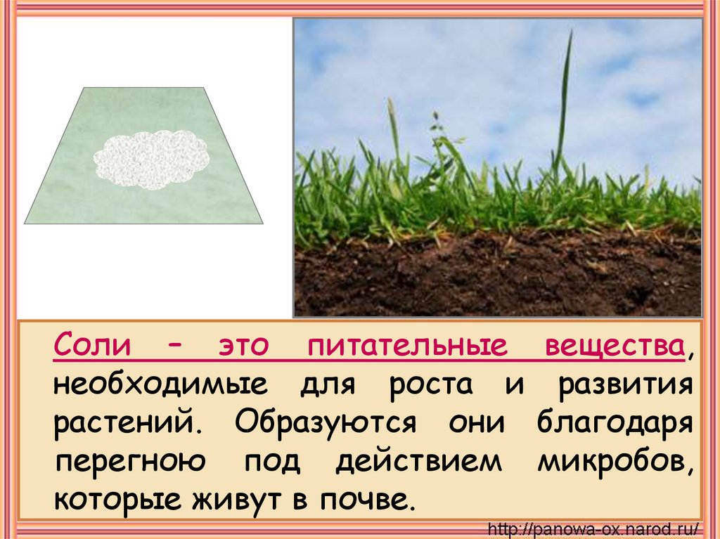 Почва это какое вещество. Питательные вещества в почве. Питательные вещества для растений в почве. Соли в почве. Почва окружающий мир.