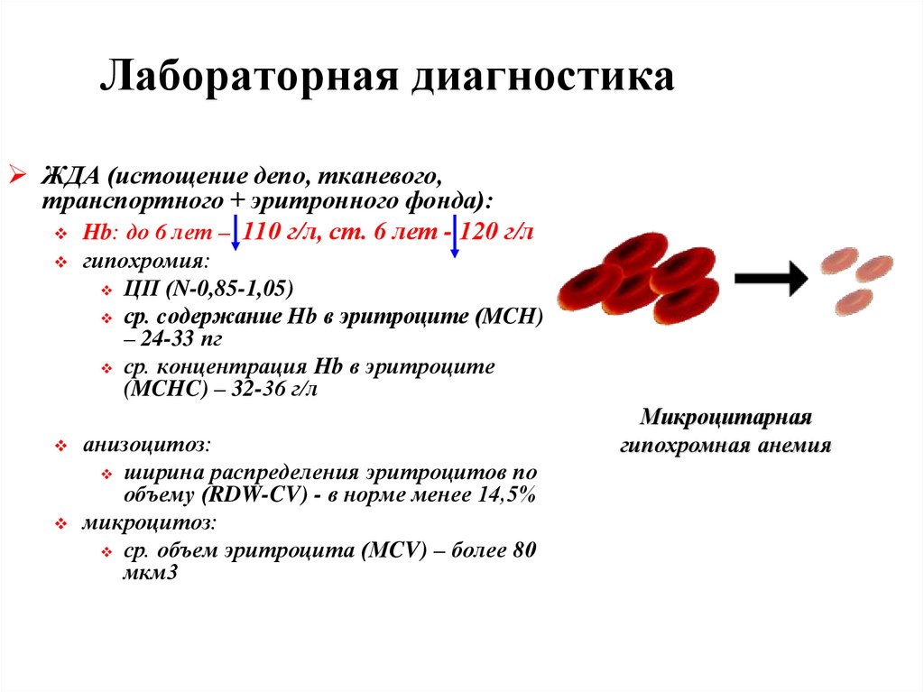 Гипохромная анемия степени. Лабораторная диагностика жда. Гипохромная анемия. СОЭ при железодефицитной анемии. Лабораторная диагностика гипохромных анемий.