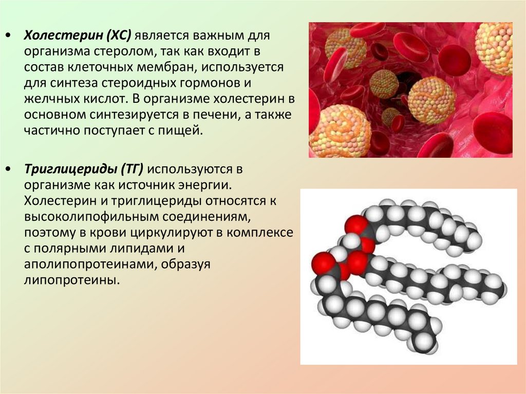 Презентация гиполипидемические средства