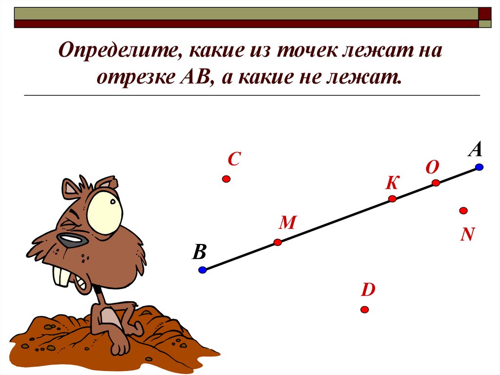 Отрезок длиной 10 м