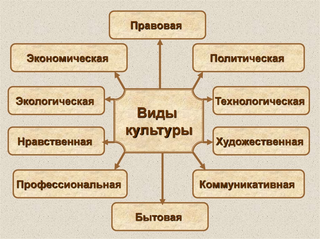 Какие культуры существуют. Виды культуры. Культура виды культуры. Виды культуры художественная нравственная. Виды культурного производства.