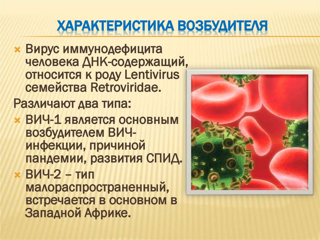 Характеристика возбудителя