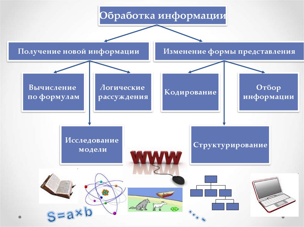 Информационные процессы элементы