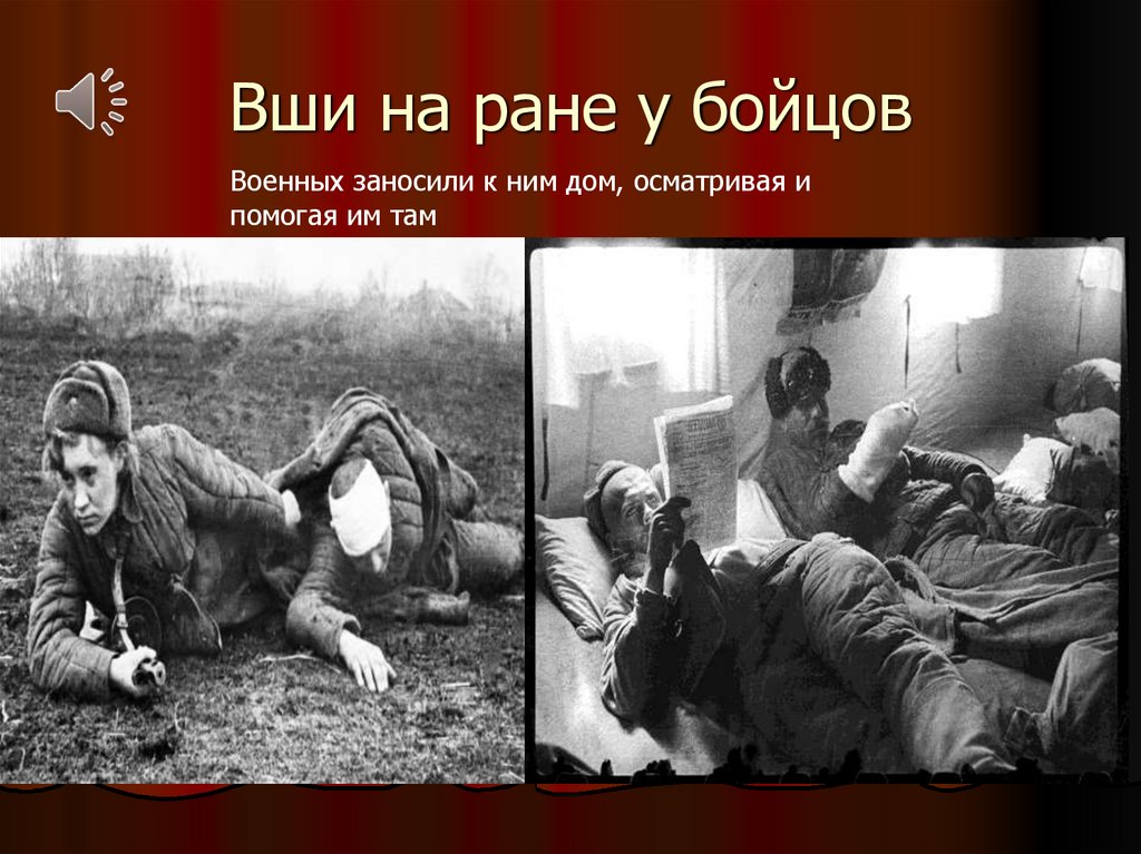 Вши на ране у бойцов