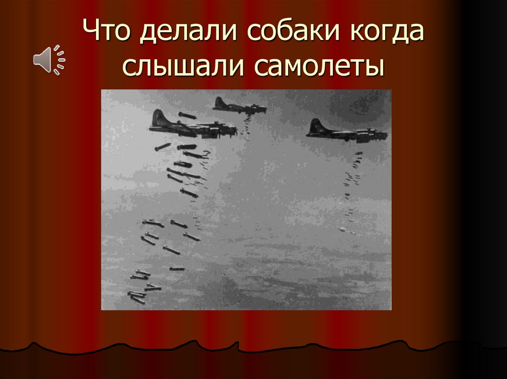 Что делали собаки когда слышали самолеты