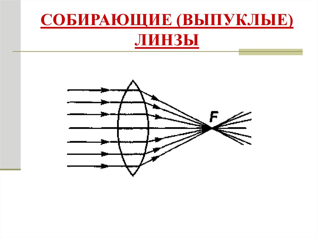 Суть выпуклой линзы собирающие. Выпуклая собирающая линза. Собирающую (выпуклую) линзу изображают. Почему вогнутая линза называется рассеивающей а выпуклая собирающей.