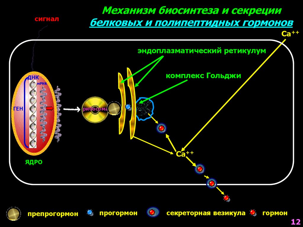 Механизм сигналов