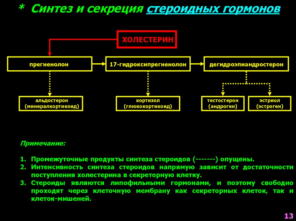 Адреналин какая секреция. Андрогены регуляция секреции. Синтез стероидных гормонов из холестерина. Нейроэндокринная система патофизиология. Альдостерон патофизиология.