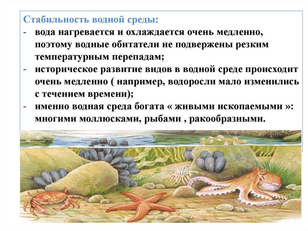 Вода среда обитания биология. Обитатели среды. Живые организмы водной среды. Живые организмы обитающие в водной среде. Среды обитания организмов.