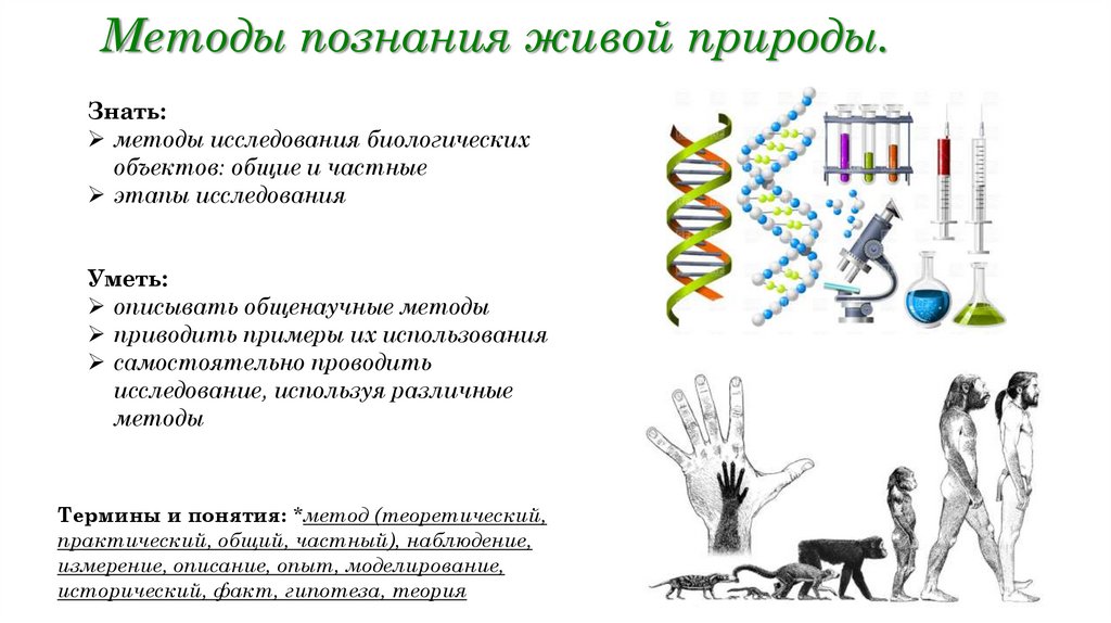 Для познания живой природы