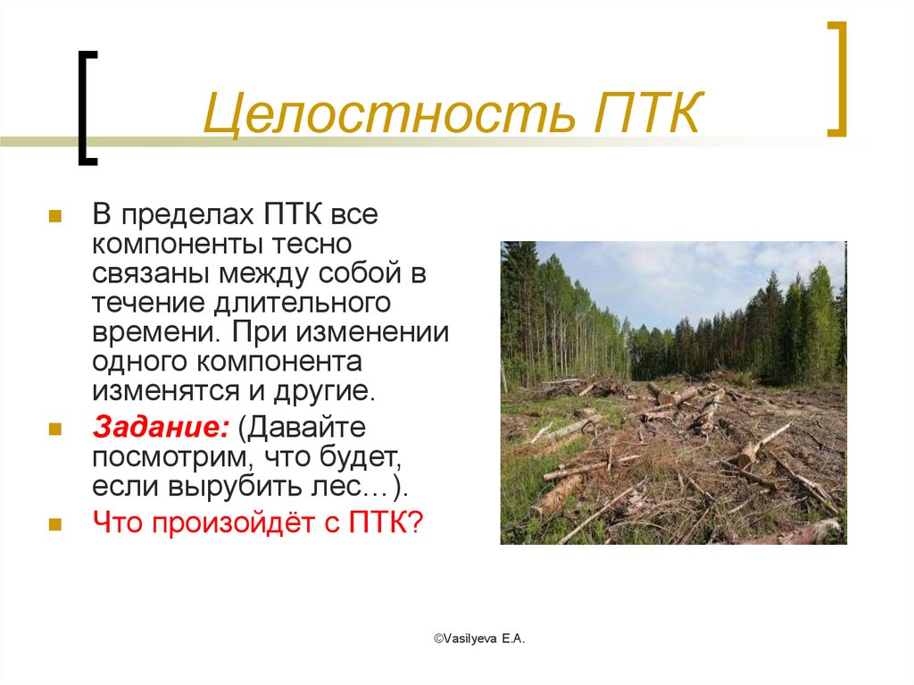 План характеристики природно территориального комплекса